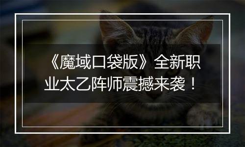 《魔域口袋版》全新职业太乙阵师震撼来袭！