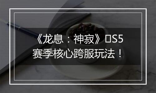 《龙息：神寂》​S5赛季核心跨服玩法！