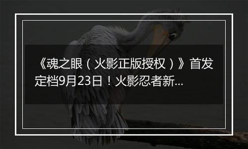 《魂之眼（火影正版授权）》首发定档9月23日！火影忍者新对决！