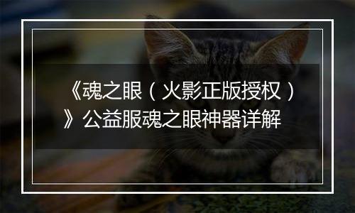 《魂之眼（火影正版授权）》公益服魂之眼神器详解
