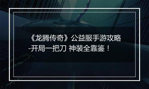 《龙腾传奇》公益服手游攻略-开局一把刀 神装全靠鉴！