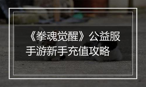 《拳魂觉醒》公益服手游新手充值攻略