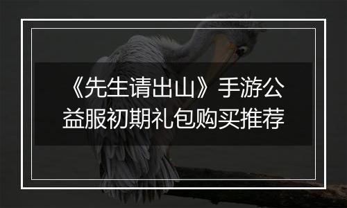 《先生请出山》手游公益服初期礼包购买推荐