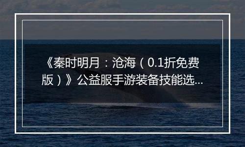 《秦时明月：沧海（0.1折免费版）》公益服手游装备技能选择