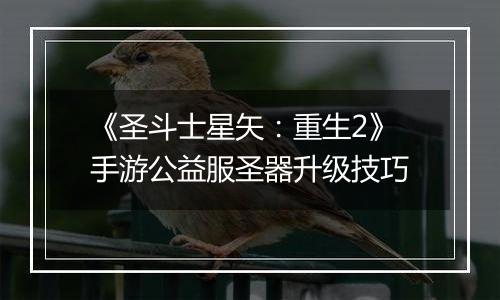 《圣斗士星矢：重生2》手游公益服圣器升级技巧