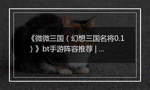 《微微三国（幻想三国名将0.1）》bt手游阵容推荐 | 极限秒杀介绍