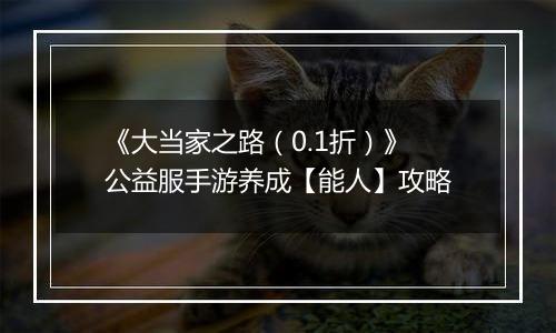 《大当家之路（0.1折）》公益服手游养成【能人】攻略