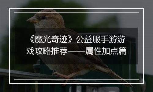 《魔光奇迹》公益服手游游戏攻略推荐——属性加点篇