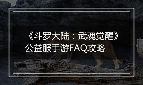 《斗罗大陆：武魂觉醒》公益服手游FAQ攻略