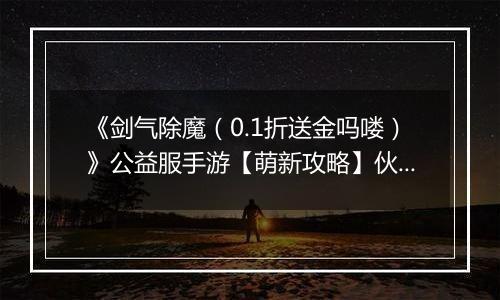 《剑气除魔（0.1折送金吗喽）》公益服手游【萌新攻略】伙伴的选择