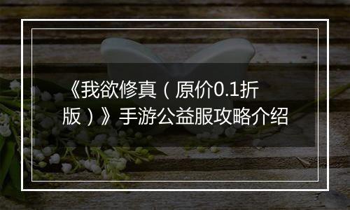 《我欲修真（原价0.1折版）》手游公益服攻略介绍