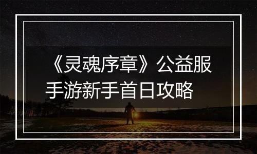 《灵魂序章》公益服手游新手首日攻略