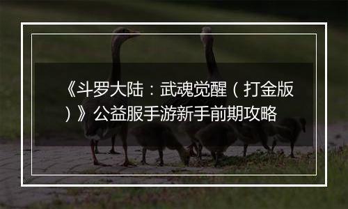 《斗罗大陆：武魂觉醒（打金版）》公益服手游新手前期攻略