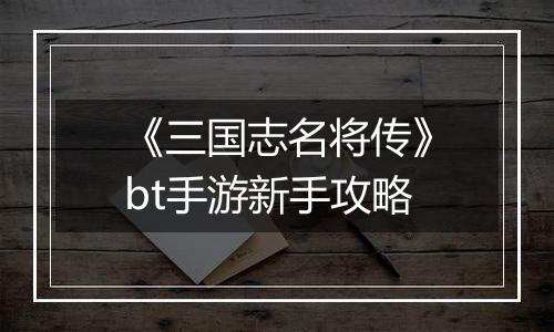《三国志名将传》bt手游新手攻略