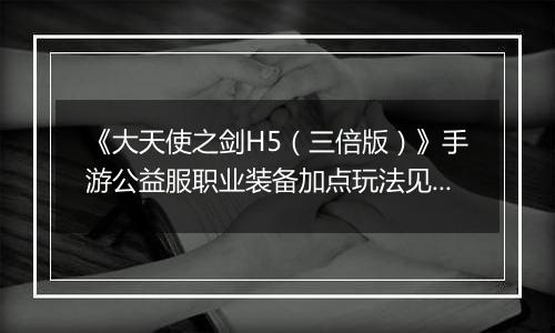 《大天使之剑H5（三倍版）》手游公益服职业装备加点玩法见解