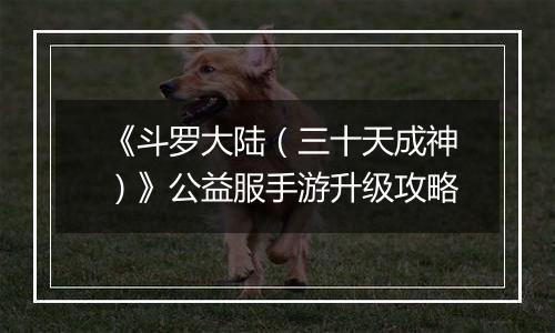《斗罗大陆（三十天成神）》公益服手游升级攻略