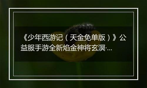 《少年西游记（天金免单版）》公益服手游全新焰金神将玄溟·敖丙情报抢先看！