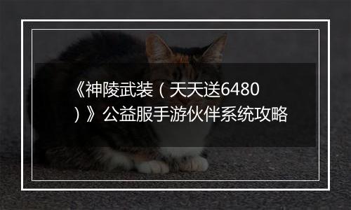 《神陵武装（天天送6480）》公益服手游伙伴系统攻略