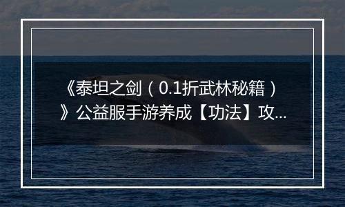 《泰坦之剑（0.1折武林秘籍）》公益服手游养成【功法】攻略