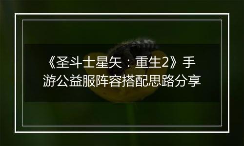 《圣斗士星矢：重生2》手游公益服阵容搭配思路分享