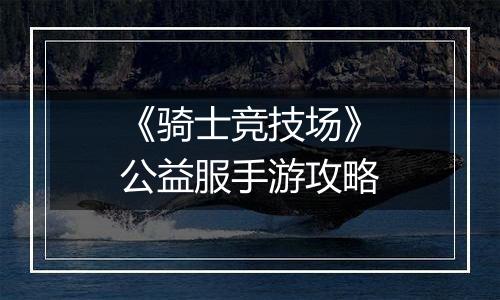 《骑士竞技场》公益服手游攻略