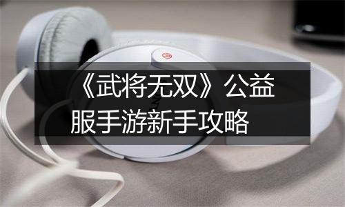 《武将无双》公益服手游新手攻略