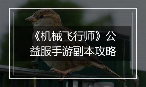 《机械飞行师》公益服手游副本攻略