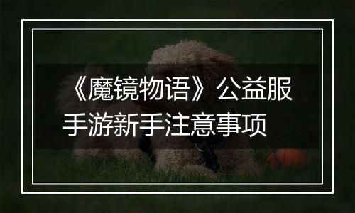 《魔镜物语》公益服手游新手注意事项