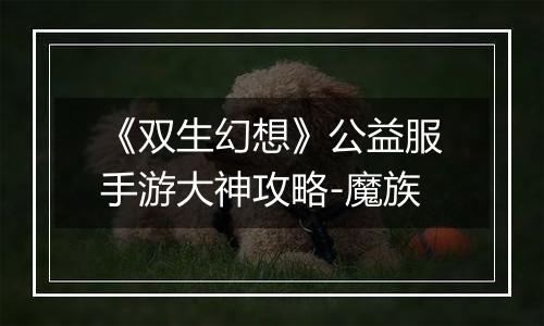 《双生幻想》公益服手游大神攻略-魔族