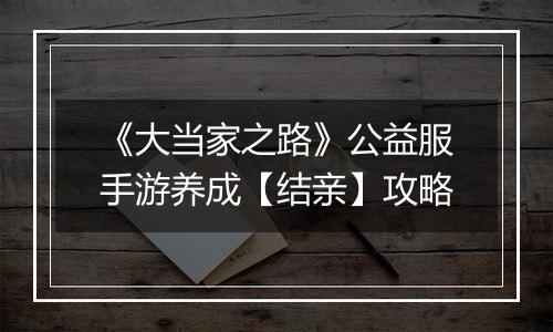《大当家之路》公益服手游养成【结亲】攻略