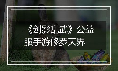 《剑影乱武》公益服手游修罗天界