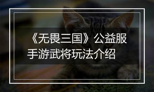 《无畏三国》公益服手游武将玩法介绍