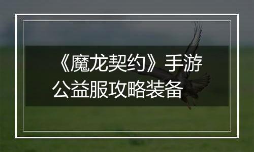 《魔龙契约》手游公益服攻略装备