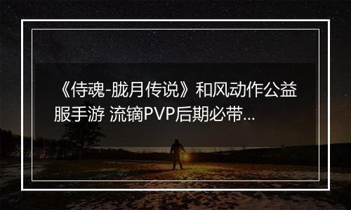 《侍魂-胧月传说》和风动作公益服手游 流镝PVP后期必带技能