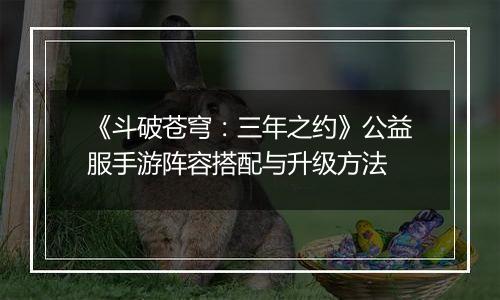 《斗破苍穹：三年之约》公益服手游阵容搭配与升级方法