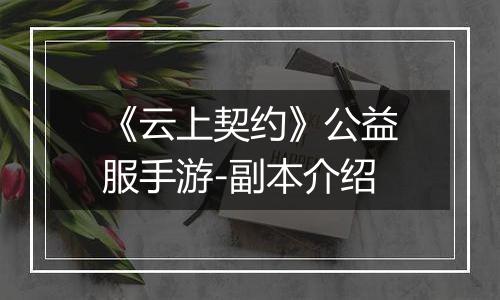 《云上契约》公益服手游-副本介绍