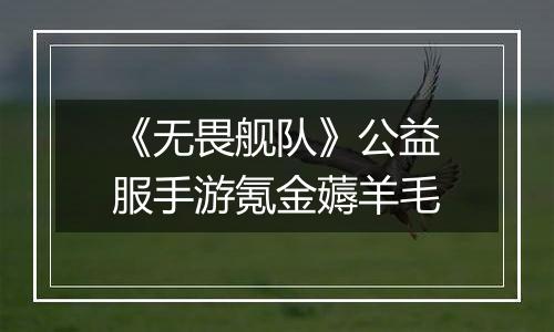 《无畏舰队》公益服手游氪金薅羊毛