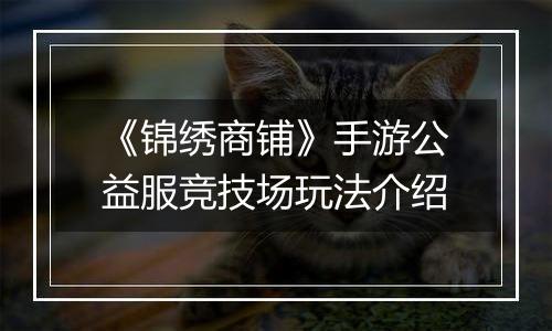 《锦绣商铺》手游公益服竞技场玩法介绍