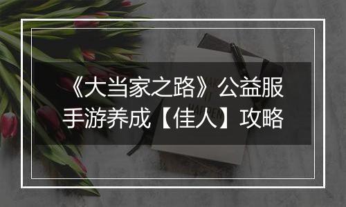 《大当家之路》公益服手游养成【佳人】攻略
