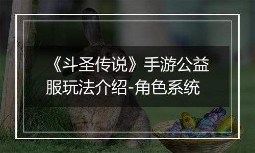 《斗圣传说》手游公益服玩法介绍-角色系统