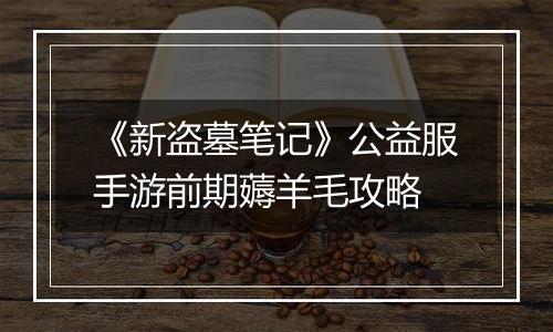 《新盗墓笔记》公益服手游前期薅羊毛攻略