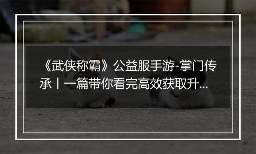 《武侠称霸》公益服手游-掌门传承丨一篇带你看完高效获取升星材料的窍门