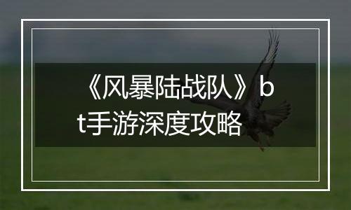 《风暴陆战队》bt手游深度攻略