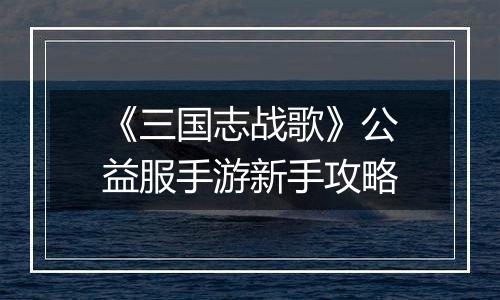《三国志战歌》公益服手游新手攻略