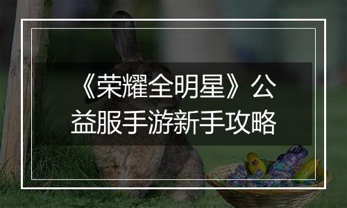 《荣耀全明星》公益服手游新手攻略