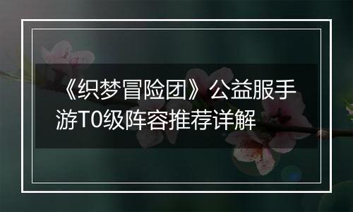 《织梦冒险团》公益服手游T0级阵容推荐详解