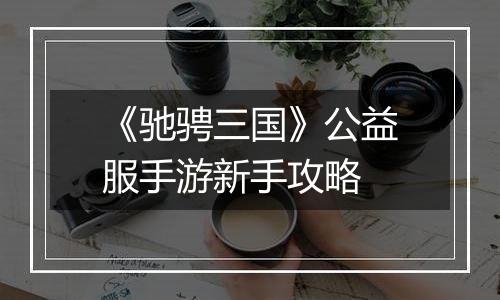 《驰骋三国》公益服手游新手攻略