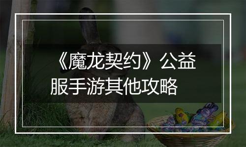 《魔龙契约》公益服手游其他攻略