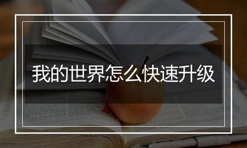 我的世界怎么快速升级