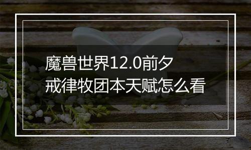 魔兽世界12.0前夕戒律牧团本天赋怎么看